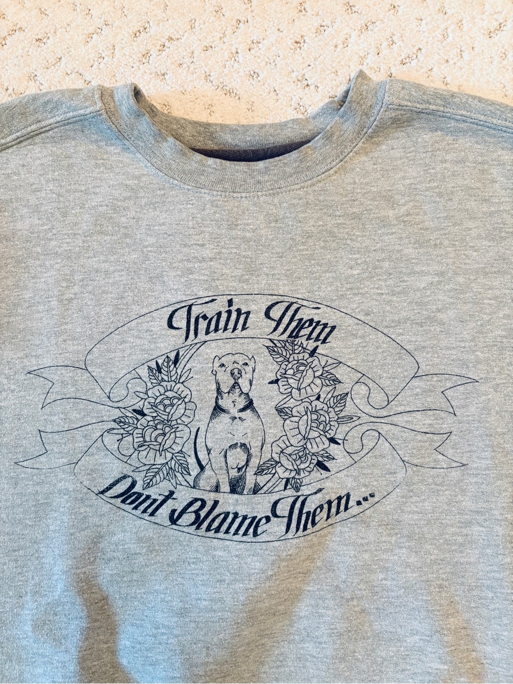 Gildan Pit Bull Graphic Sweatshirt Streetwear Size L Train Them Dont Blame Them